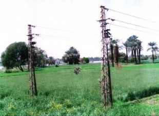 إحلال وتجديد شبكات الجهد المنخفض بمدن كفر الشيخ بتكلفة 3ملايبن جنيه